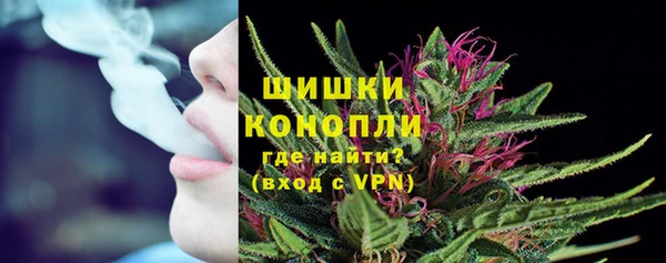 амф Богданович