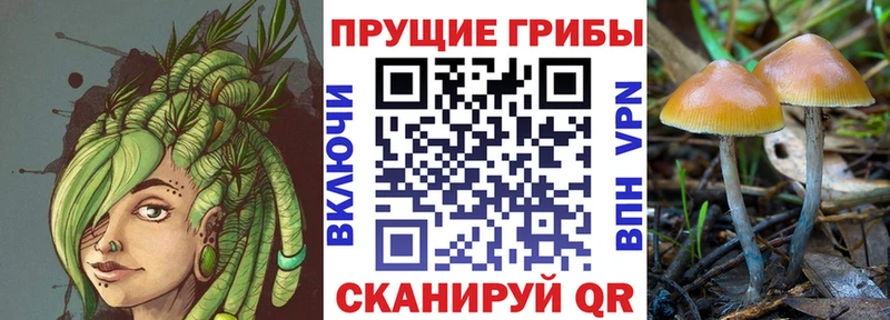 Купить закладки  Макарьев  Псилоцибиновые грибы ЛСД 